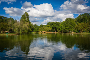 Fototapeta na wymiar Beautiful clouds reflecting in the lake at Freedom Park, in Char