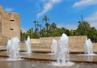 Palmeral de Elche, Alicante
