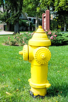 Yellow Hydrant