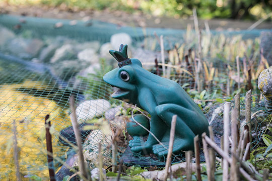 Close up view of frog garden statue wearing crown placed on rock mound with green netting
