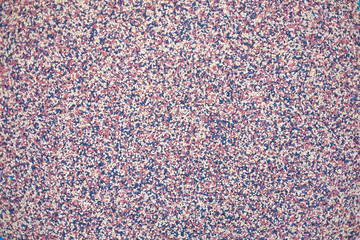 Orange  rubber floor on playground