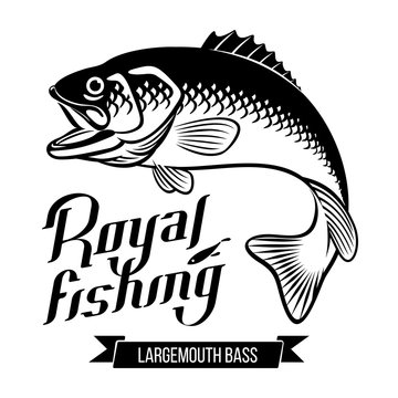 Largemouth Bass illustration