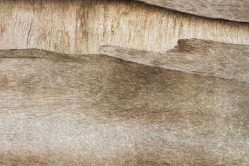 Background of wood texture