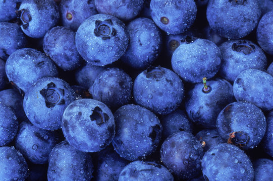 Blueberries