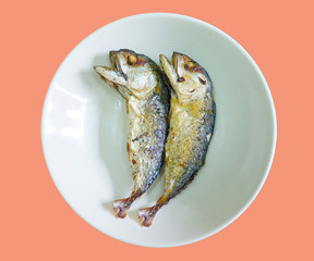 fried mackerel fish on pastel color background 