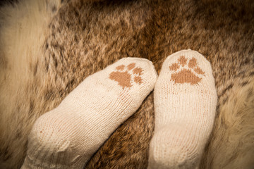 Pair of a hand knitted woolen socks with a cat paw pattern on fur background