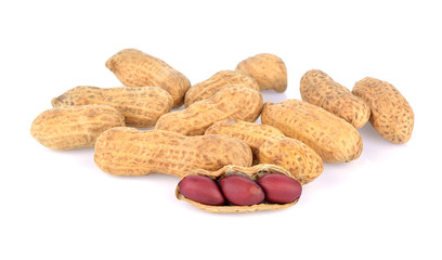 peanut on white background