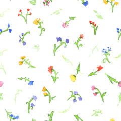 Seamless pattern of watercolor meadow, flowers on white. Hand painted background with wildflowers.