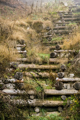 Old rustic wooden steps up a grassy hillside composed of stacked logs viewed from below looking up on a misty day