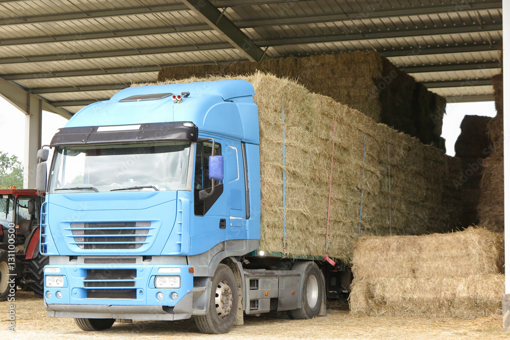 Wall mural truck filled with straw in big farm, transportation for farmer