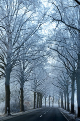 Fototapeta premium Landstraße im Winter