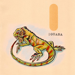 English alphabet , Iguana