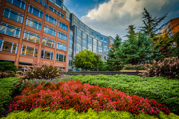 Gardens and buildings at Johnson & Wales University, in Charlott