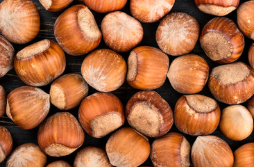 Hazelnuts in shell