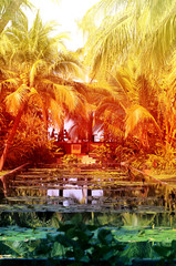 Photo tropical paradise garden