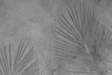 Palm leaf on cement background