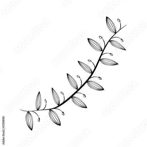 "Decorative leaves in black and white icon vector illustration graphic