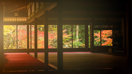 Tenju-an temple at autumn, Kyoto - obrazy, fototapety, plakaty