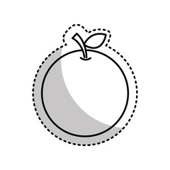 fresh fruit drawing icon vector illustration design