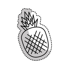 fresh fruit drawing icon vector illustration design