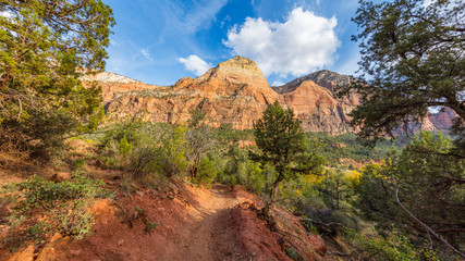 Scenic view of the canyon. The rays of the sun illuminate the canyon.  Zion National Park, Utah, USA