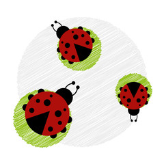 Grußkarte | Viel Glück | Marienkäfer