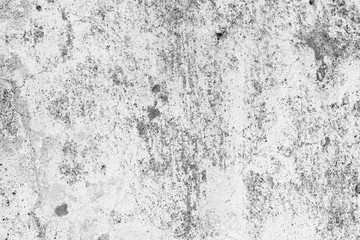 Obraz premium grungy background of natural cement or concrete wall