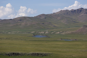 Fototapeta premium Am Fluss Orchon - Mongolei