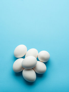 White chicken eggs on the blue background.