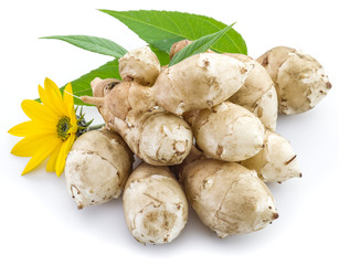 Jerusalem artichoke on a white background.