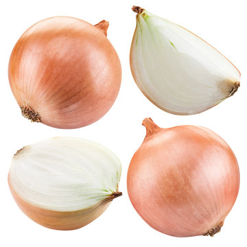 Bulb onion isolated on a white background.