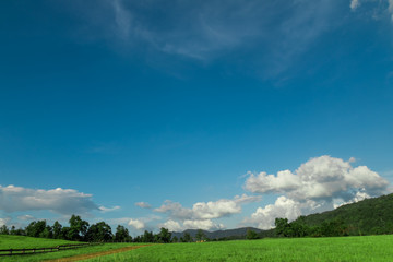 Fototapeta na wymiar beautiful blue sky and cloud over natural green grass hill.