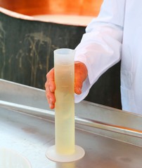 cheesemaker grab a tube with the rennet to  production of cheese