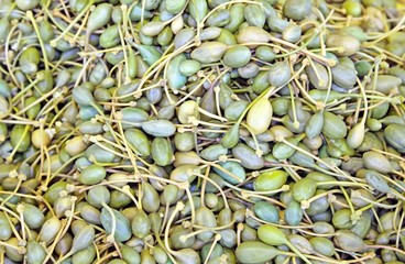 Capers for sale in fruit and vegetable store in southern Italy