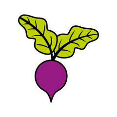 onion fresh vegetable isolated icon vector illustration design