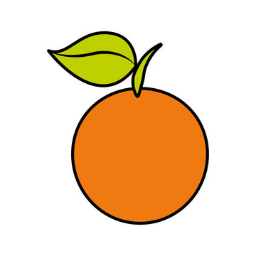 orange fresh fruit icon vector illustration design