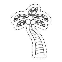 tree palm tropical icon vector illustration design