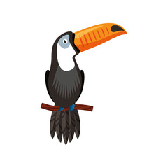 toucan tropical bird icon vector illustration design