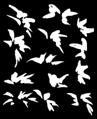 White ink vector brush strokes. Vector illustration. Grunge texture.