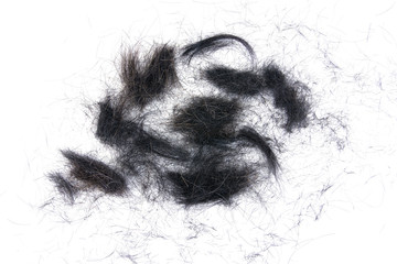 hair cut off on white background.Hair cut off isolated