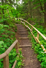 Obraz premium Wanderweg mit Treppe aus Naturmaterialien 