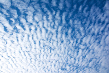 Sky background.Wave sky background