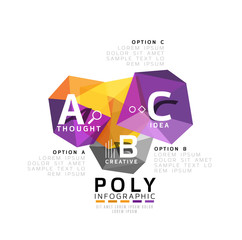 Moden low poly infographics template