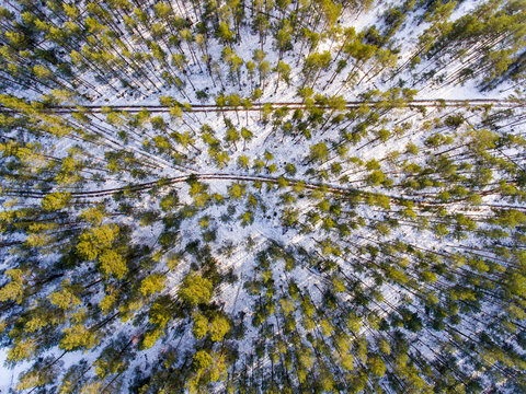 Winter forest and curved path with small road photographer by drone