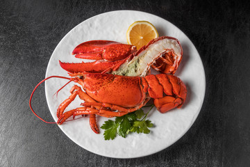 高級ロブスター　 High-quality lobster