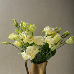 Yellow flowers closeup