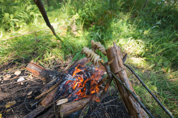 carvery lunch in the green forest