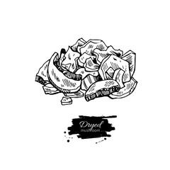 Dryed mushroom hand drawn vector illustration. Sketch food drawi