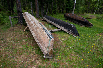 Three wooden upturned boats on the shore