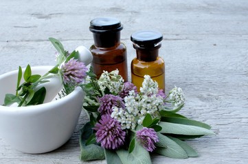 Heilkräuter, Roter Klee, Schafgarbe, Trifolium 